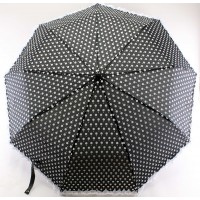 Зонт-Pa02957pe-100
